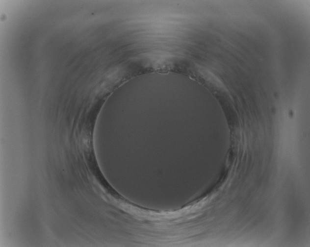 X0000070880039200606231354