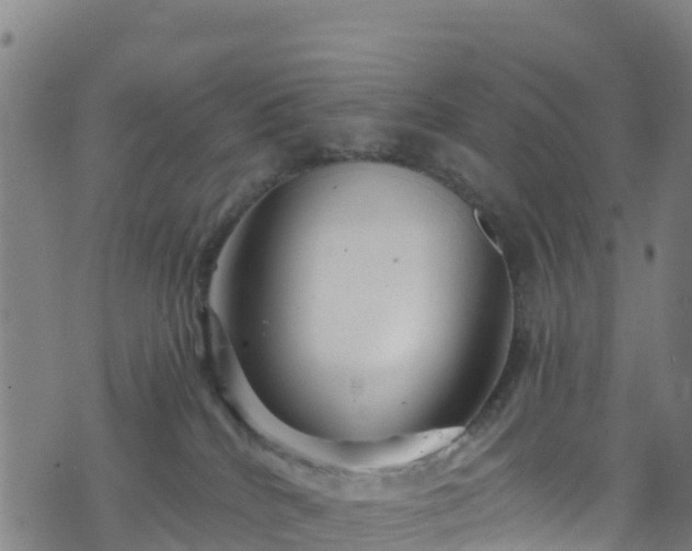 X0000070880040200606231354