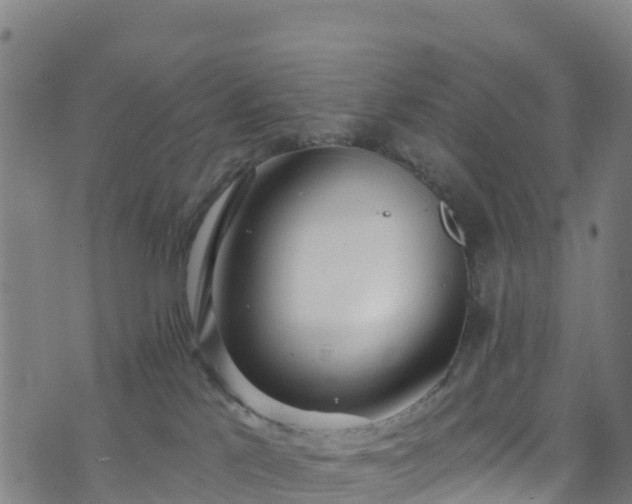 X0000070880041200606231354