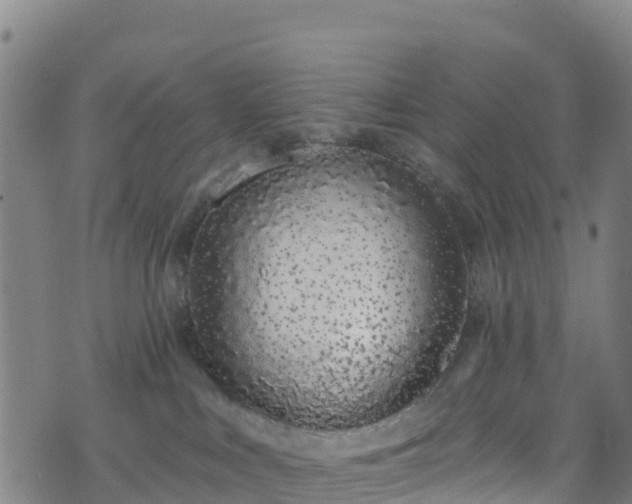 X0000070880043200606231354