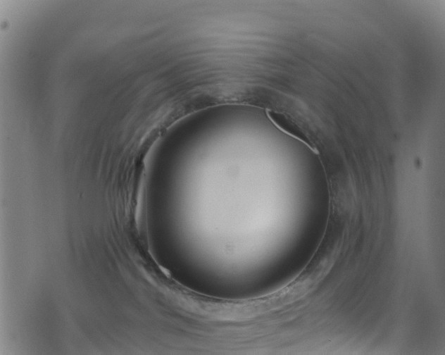 X0000070880044200606231354