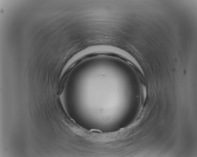 X0000070880045200606231354