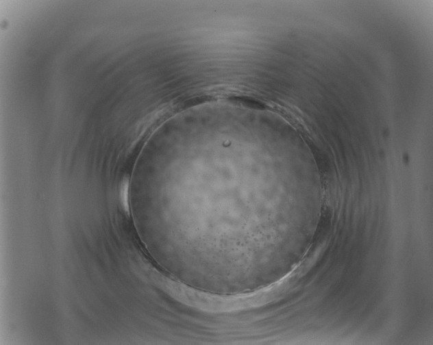 X0000070880047200606231353