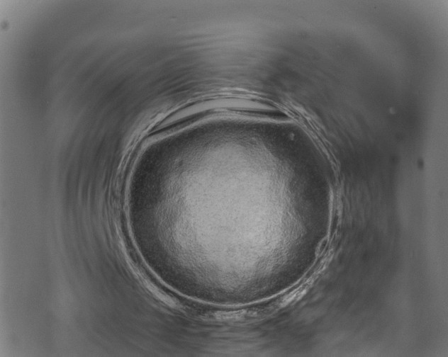 X0000070880049200606231353