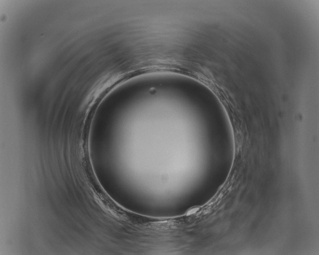 X0000070880050200606231353