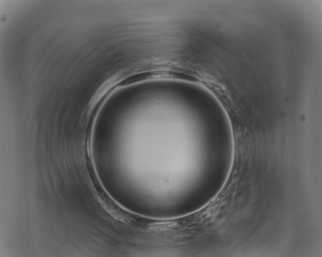 X0000070880051200606231353