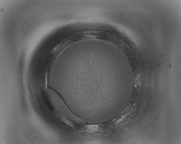 X0000070880052200606231353