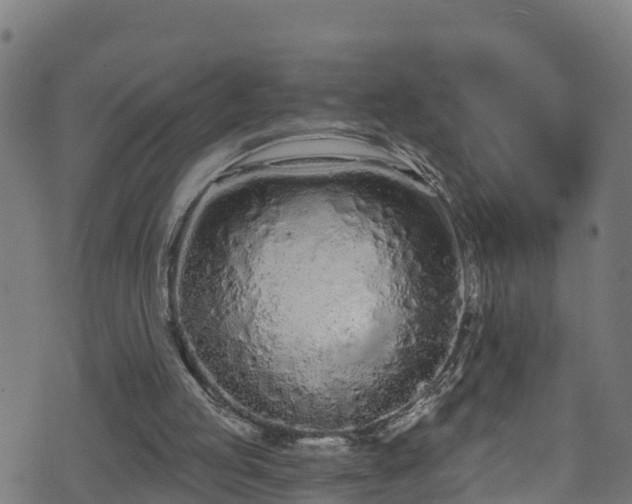 X0000070880053200606231353