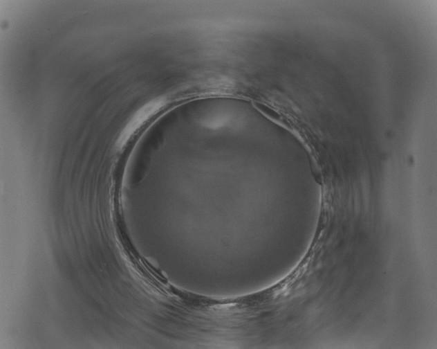 X0000070880054200606231353