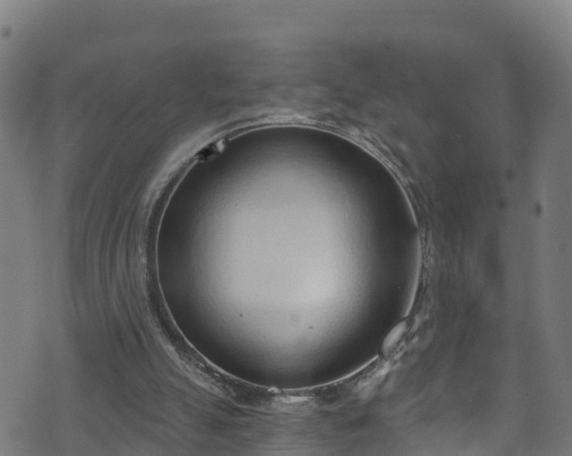 X0000070880055200606231353