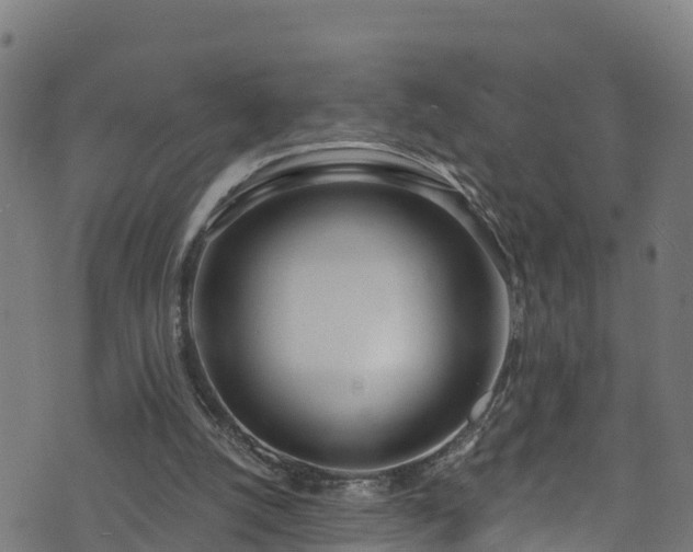 X0000070880056200606231353