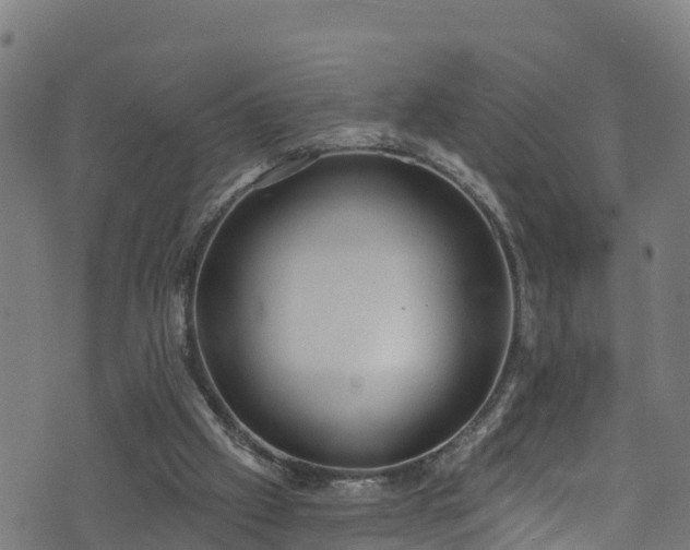 X0000070880057200606231353