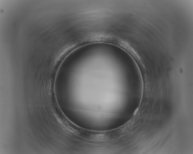 X0000070880058200606231353