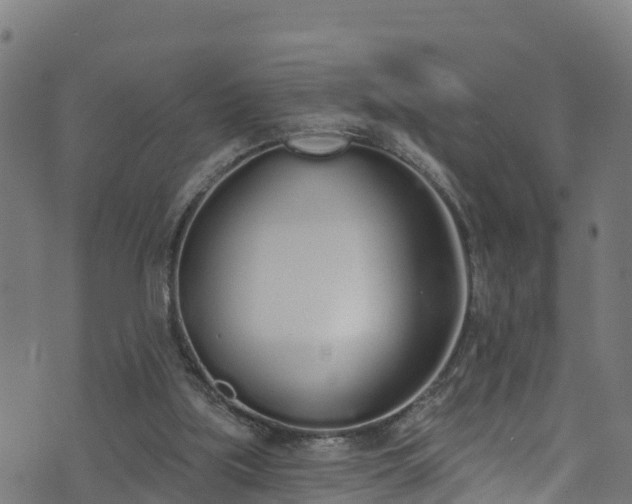 X0000070880059200606231353