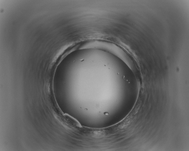 X0000070880060200606231353