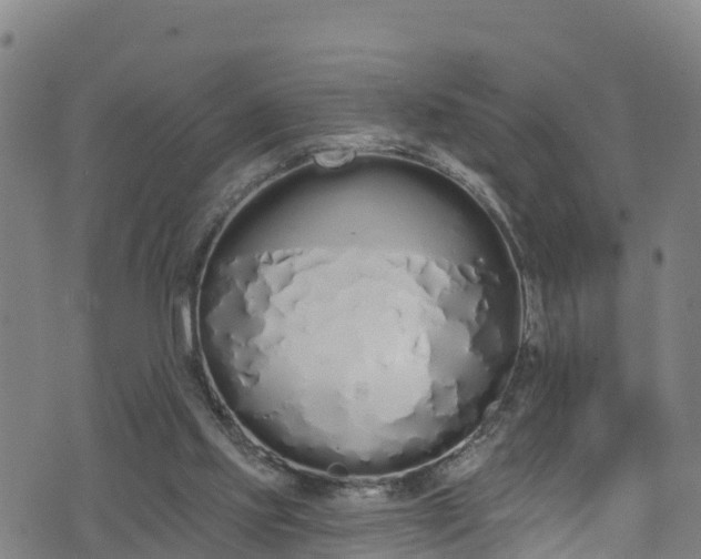 X0000070880061200606231353