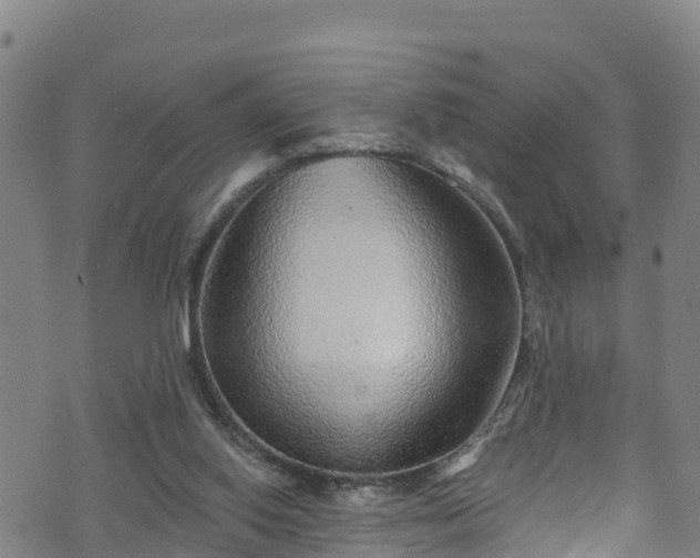 X0000070880062200606231353