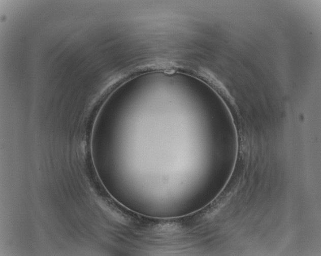 X0000070880063200606231353