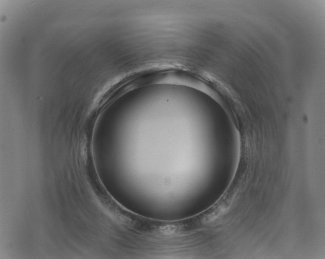 X0000070880064200606231353