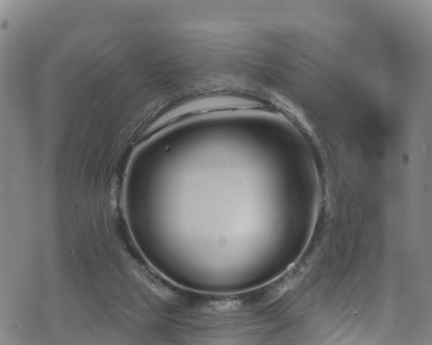 X0000070880065200606231353