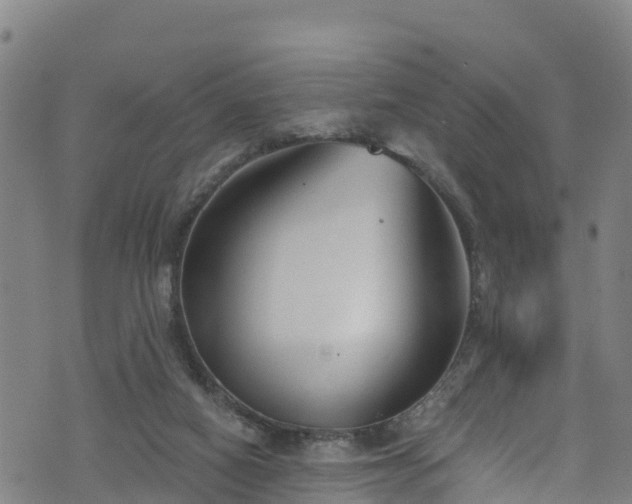 X0000070880066200606231353