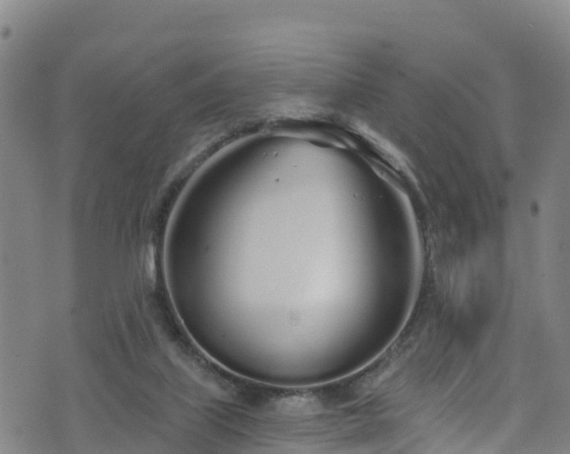 X0000070880067200606231353