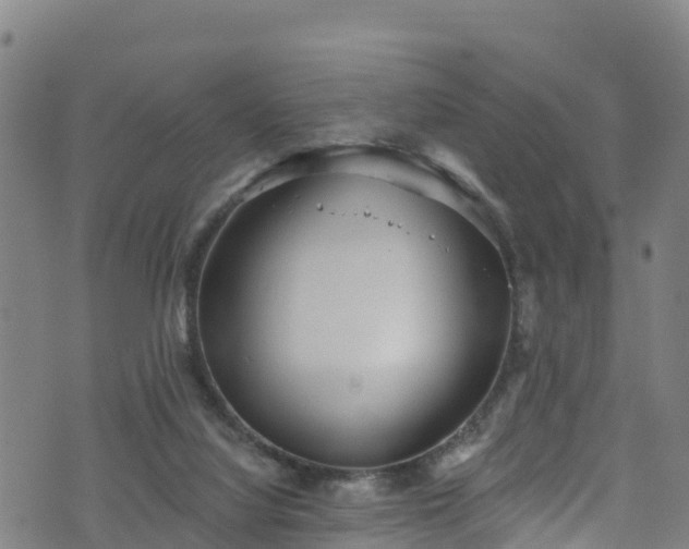 X0000070880068200606231353