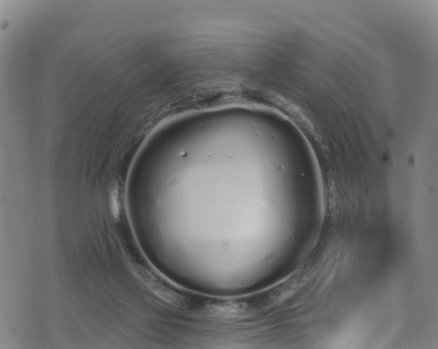 X0000070880069200606231353