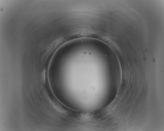 X0000070880070200606231353