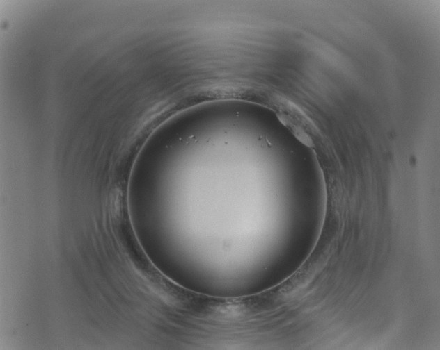 X0000070880071200606231353