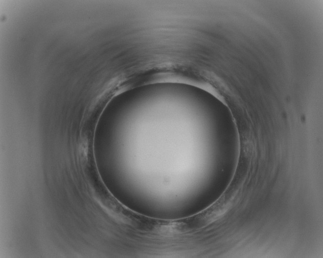 X0000070880072200606231353