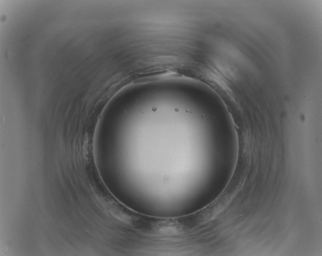 X0000070880073200606231353