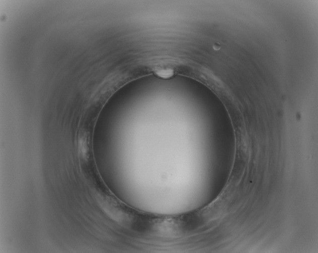 X0000070880074200606231353