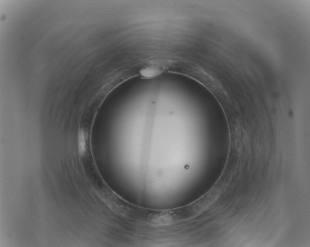 X0000070880075200606231353