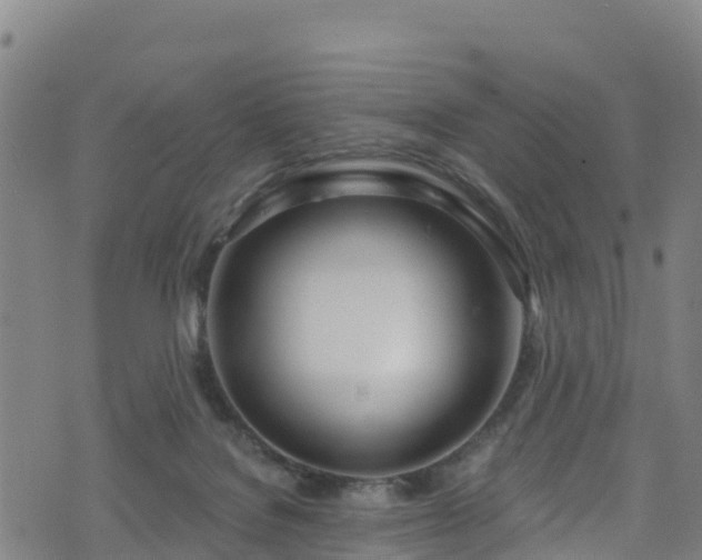 X0000070880076200606231353