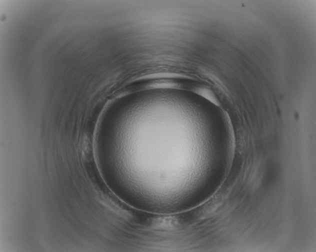 X0000070880077200606231353