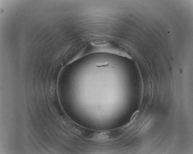 X0000070880078200606231353