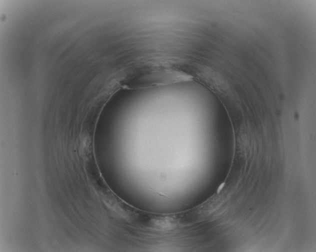 X0000070880079200606231353