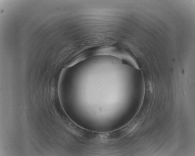 X0000070880080200606231353