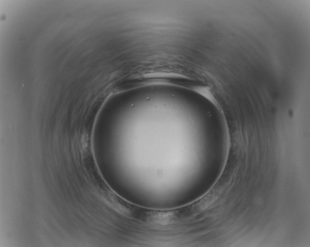 X0000070880081200606231353