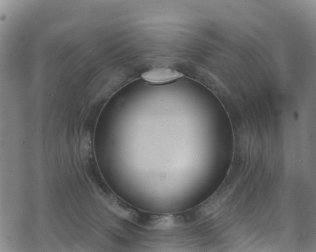 X0000070880083200606231353