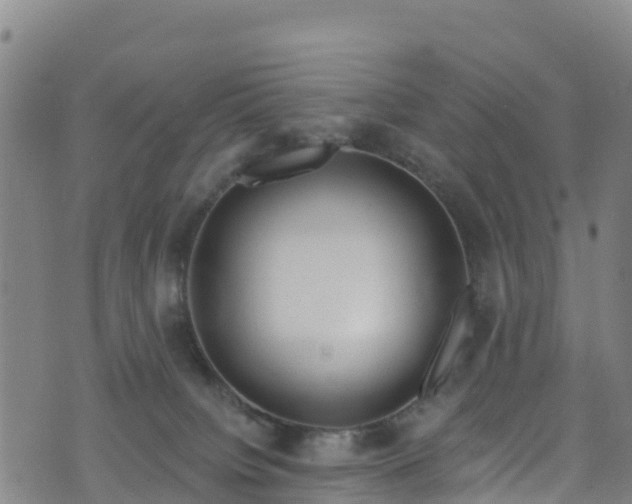 X0000070880084200606231353