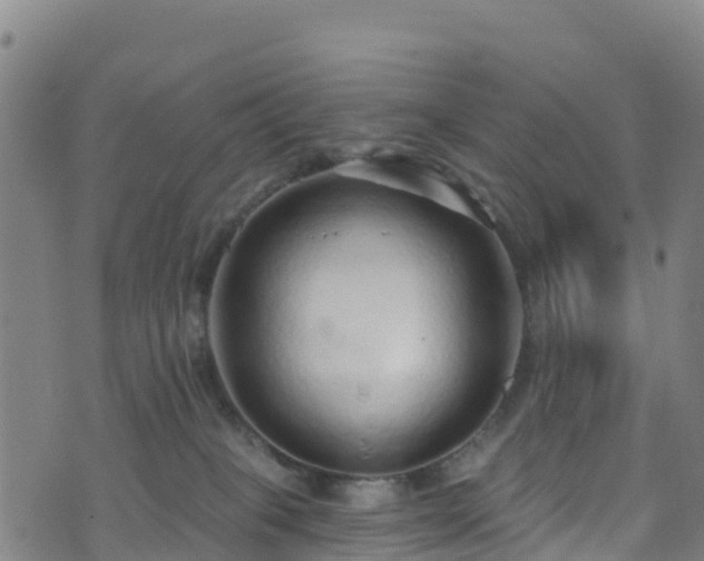 X0000070880085200606231353