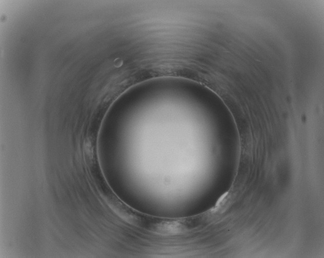 X0000070880086200606231353