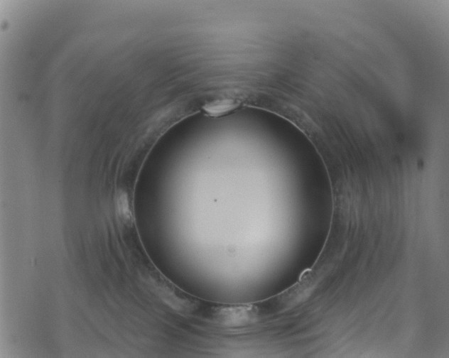 X0000070880089200606231353