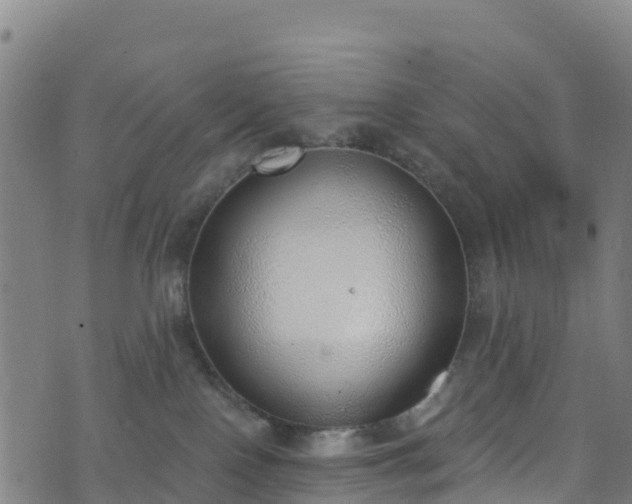 X0000070880090200606231353