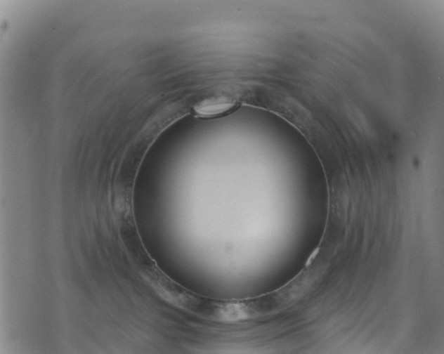 X0000070880091200606231353