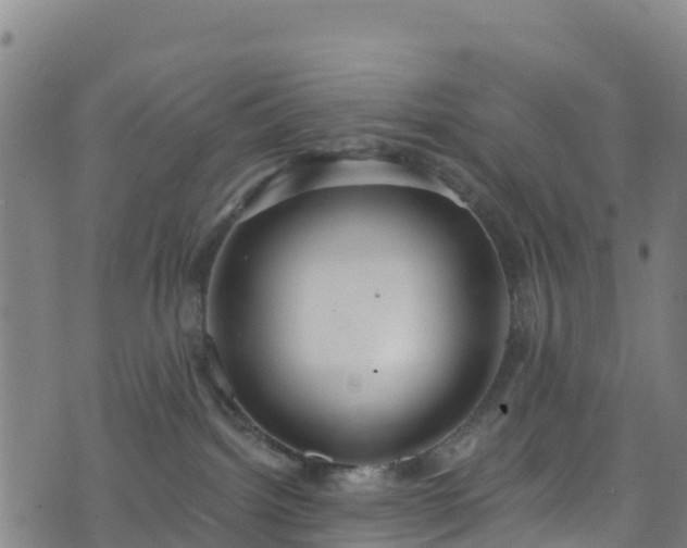 X0000070880092200606231353