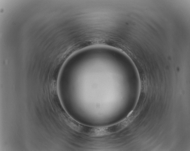 X0000070880093200606231353