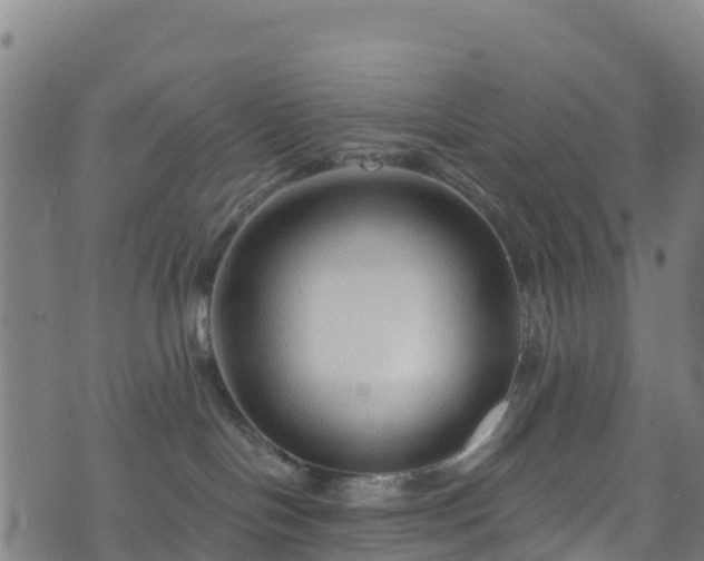 X0000070880094200606231353